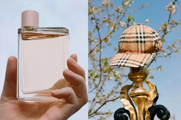 miss perfumes fragrance for woman her perfume spray 100ml edp flower floral note highest quality and fast delivery
miss perfumes fragrance for woman her perfume spray 100ml edp flower floral note highest quality and fast delivery