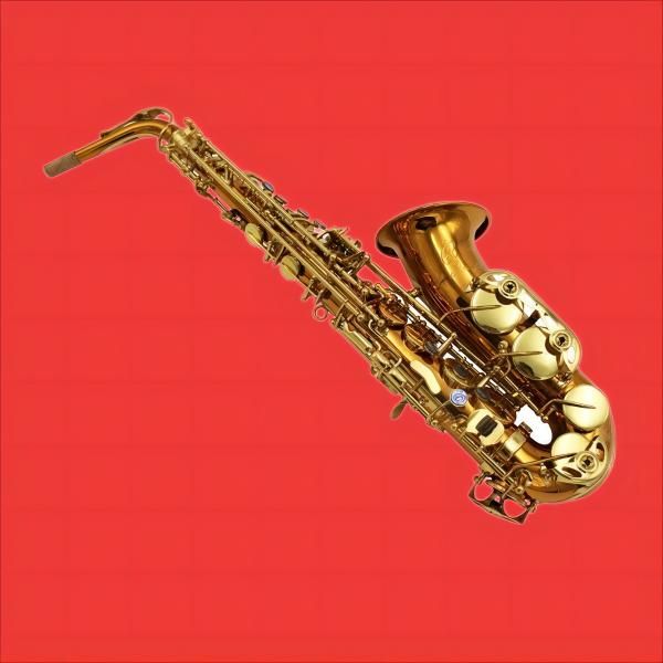 jjapan gold lacquer reference 54 e-flat alto saxophone alto sax gold plated handmade in france168
jjapan gold lacquer reference 54 e-flat alto saxophone alto sax gold plated handmade in france168