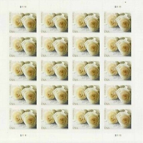 mint us 2011 lily white rose flag stamp party first class rate booklet pane of envelopes letters postcard 100pcs set mail supply
mint us 2011 lily white rose flag stamp party first class rate booklet pane of envelopes letters postcard 100pcs set mail supply