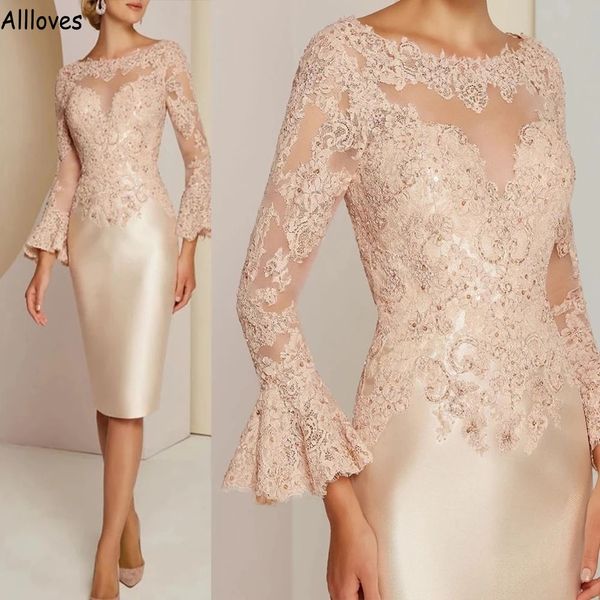 elegant appliuqed lace mother of the bride dresses sheer neck long sleeves knee length short women evening party gowns sheath wedding guest, Black;red
elegant appliuqed lace mother of the bride dresses sheer neck long sleeves knee length short women evening party gowns sheath wedding guest, Black;red