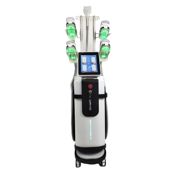 beauty item 5 cryo handle 360 cryolipolysis slimming machine with rf 360 fat ing machine
beauty item 5 cryo handle 360 cryolipolysis slimming machine with rf 360 fat ing machine