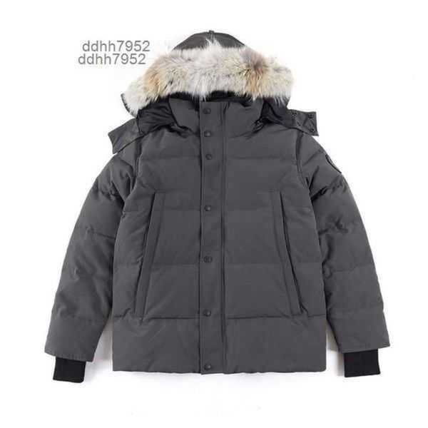 mens down jacket goose coat real big wolf fur canadian wyndham overcoat clothing casual fashion style winter outerwear parkazom4, Black
mens down jacket goose coat real big wolf fur canadian wyndham overcoat clothing casual fashion style winter outerwear parkazom4, Black