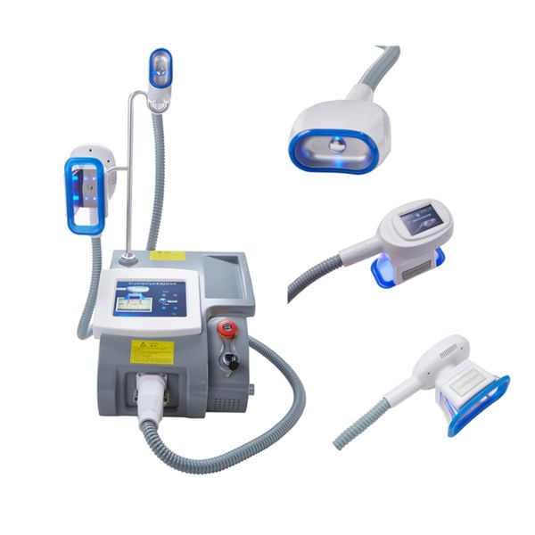 cryolipolysis e slimming cool technology 3 x cryo handles 360° fat ing cellulite removal machine
cryolipolysis e slimming cool technology 3 x cryo handles 360° fat ing cellulite removal machine