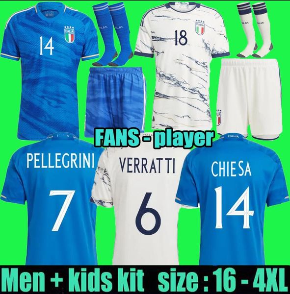 2023 italy soccer jerseys italia 2324 maglie da calcio verratti chiesa gnonto football shirt t lorenzo pinamonti politano grifo kit uniform, Black;yellow
2023 italy soccer jerseys italia 2324 maglie da calcio verratti chiesa gnonto football shirt t lorenzo pinamonti politano grifo kit uniform, Black;yellow
