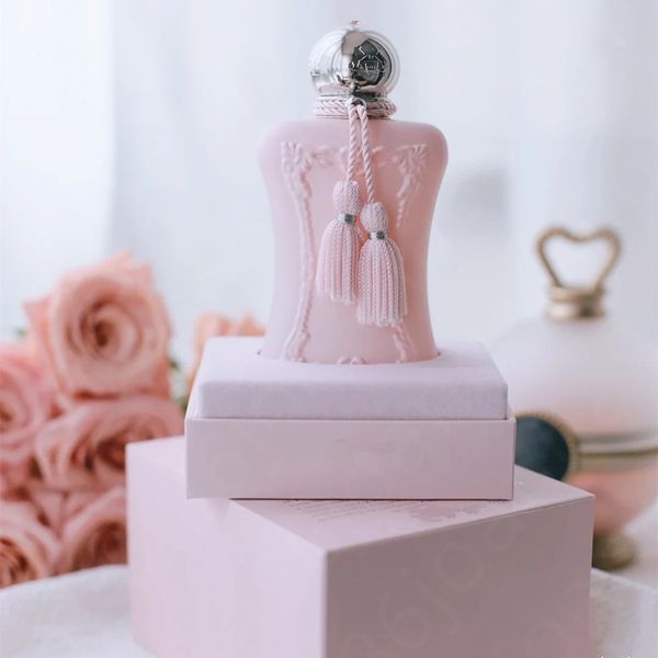 lady perfumes delina 75ml a rose spray edp fragrance christmas valentine day gift long lasting pleasant perfume fast ship
lady perfumes delina 75ml a rose spray edp fragrance christmas valentine day gift long lasting pleasant perfume fast ship