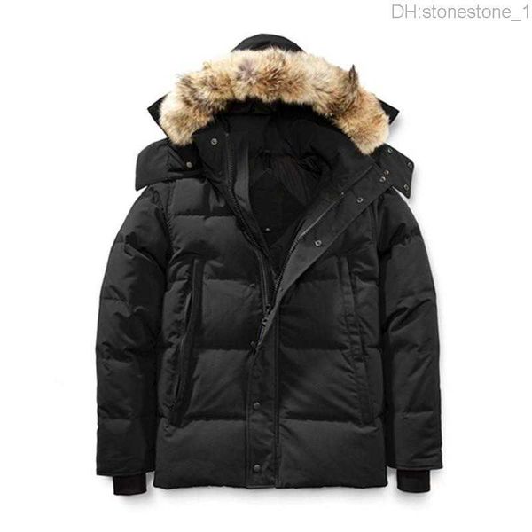 winter fourrure down parka homme jassen chaquetas outerwear wolf fur hooded fourrure manteau wyndham canada down jacket coat hiver doudouneo, Black
winter fourrure down parka homme jassen chaquetas outerwear wolf fur hooded fourrure manteau wyndham canada down jacket coat hiver doudouneo, Black