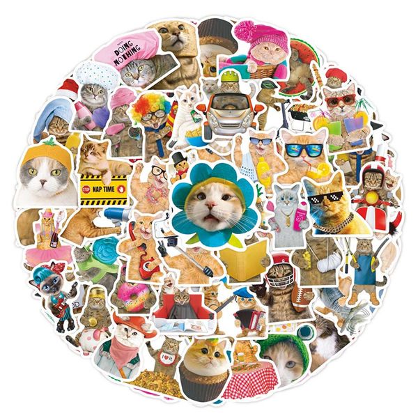 50pcs funny cat stickers spoof graffiti kids toy skateboard car motorcycle bicycle sticker decals wholesale
50pcs funny cat stickers spoof graffiti kids toy skateboard car motorcycle bicycle sticker decals wholesale