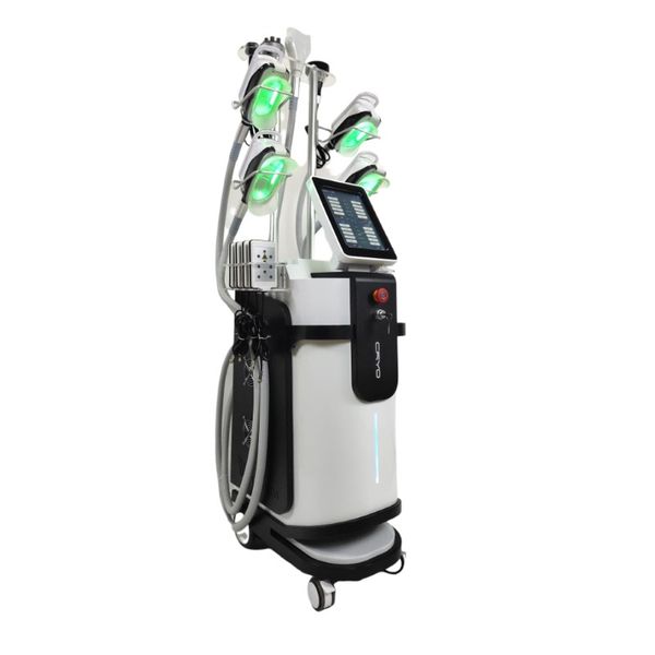 european powful cryolipolysis cryo therapy body shaping fat ing cellulite removal machine spa salon beauty items
european powful cryolipolysis cryo therapy body shaping fat ing cellulite removal machine spa salon beauty items