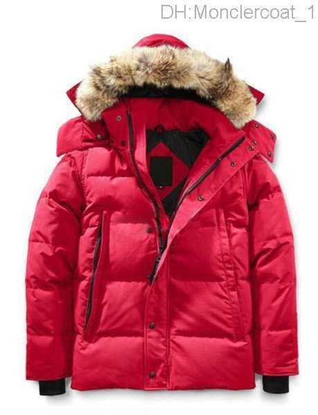 winter fourrure down parka homme jassen chaquetas outerwear wolf fur hooded fourrure manteau wyndham canada down jacket coat hiver doudoune, Black
winter fourrure down parka homme jassen chaquetas outerwear wolf fur hooded fourrure manteau wyndham canada down jacket coat hiver doudoune, Black
