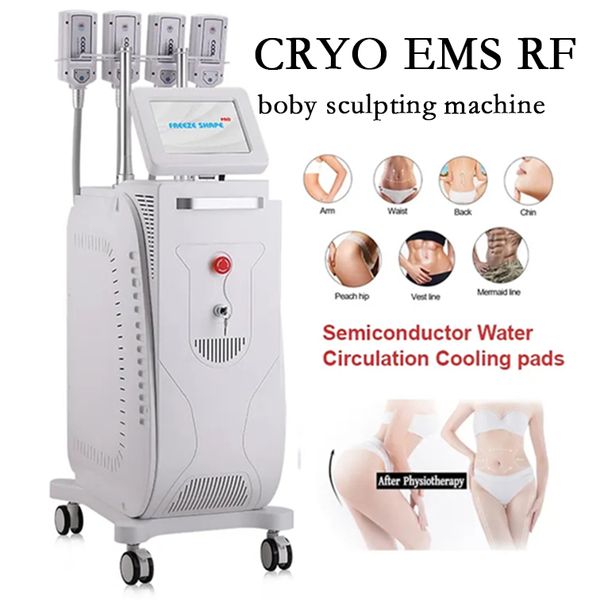 fat ing ems cryo plate rf body slimming machine cellulite removal e body sculpting beauty equipment with fda approved
fat ing ems cryo plate rf body slimming machine cellulite removal e body sculpting beauty equipment with fda approved
