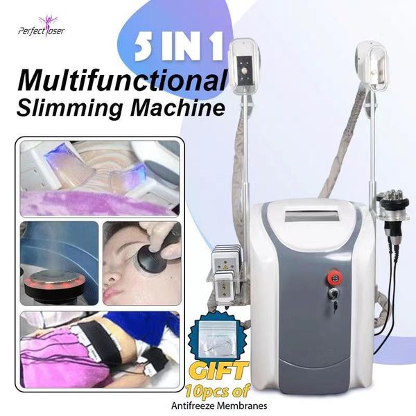 cryolipolysis fat e machine lipolaser personal use cryotherapy lipo laser ultrasonic cavitation rf slimming beauty equipment
cryolipolysis fat e machine lipolaser personal use cryotherapy lipo laser ultrasonic cavitation rf slimming beauty equipment
