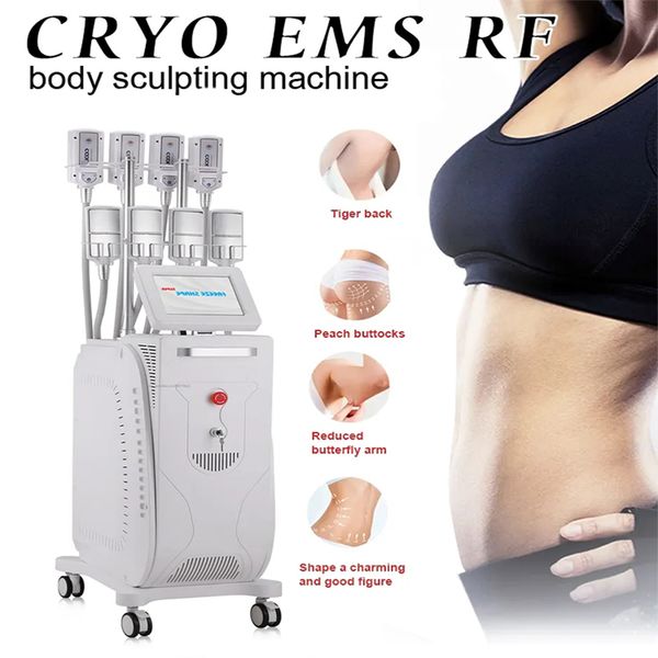 cryo rf ems body sculpting cryolipolysis machine latest cryo plate cool body slimming fat e salon massage device
cryo rf ems body sculpting cryolipolysis machine latest cryo plate cool body slimming fat e salon massage device