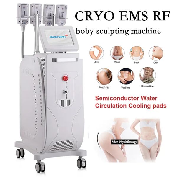 ice sculpture slimming cryolipolysis cryotherapy machine cryo ems rf cool body sculpting equipment fat loss reduction fat ing 8 handles for
ice sculpture slimming cryolipolysis cryotherapy machine cryo ems rf cool body sculpting equipment fat loss reduction fat ing 8 handles for