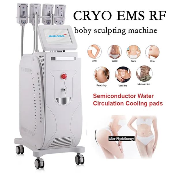 cryoskin ems rf non-vacuum slimming machine cryolipolysis fat ing body shaping device 4 or 8 handles diamond ice cryo pads
cryoskin ems rf non-vacuum slimming machine cryolipolysis fat ing body shaping device 4 or 8 handles diamond ice cryo pads