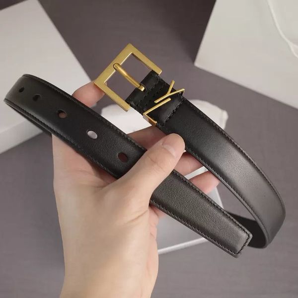 luxury sl gold needle buckle belts for men women designer belt width 3cm with box fashion leather belt 6 colors waistband, Black;brown
luxury sl gold needle buckle belts for men women designer belt width 3cm with box fashion leather belt 6 colors waistband, Black;brown