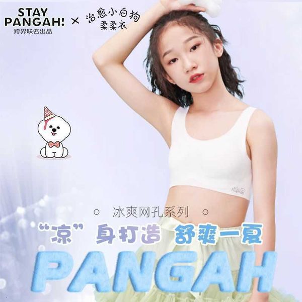 bra set lingerie xia bingsi traceless girl's growth vest student girl kid anti bump non displacement thin underwear, Red;black
bra set lingerie xia bingsi traceless girl's growth vest student girl kid anti bump non displacement thin underwear, Red;black