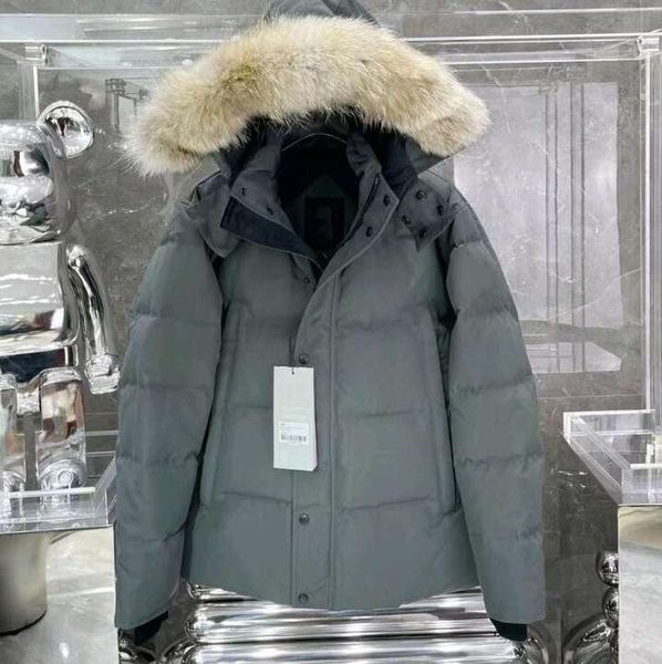 2023ss men's down parkas designer men canada chateau parka black navy gray jacket winter coat jackets coats fur sale with online male h
2023ss men's down parkas designer men canada chateau parka black navy gray jacket winter coat jackets coats fur sale with online male h