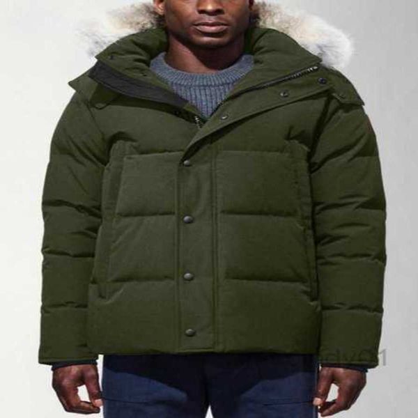 winter fourrure down parka homme jassen chaquetas outerwear wolf fur hooded manteau wyndham canada jacket coat hiver doudoune menspuq0, Black
winter fourrure down parka homme jassen chaquetas outerwear wolf fur hooded manteau wyndham canada jacket coat hiver doudoune menspuq0, Black