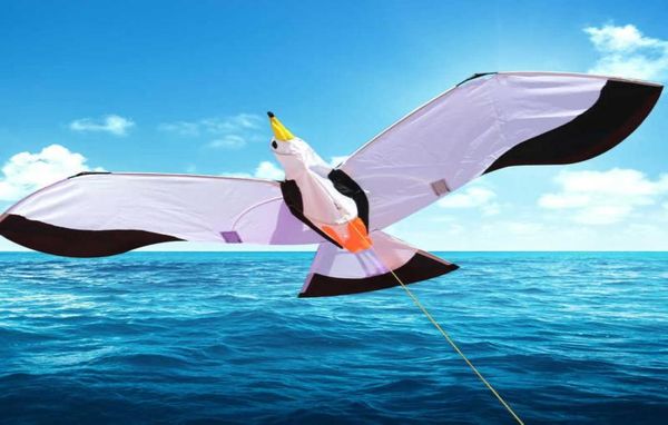 new outdoor fun sports 3d single line seagull kites beach with handle and string good flying 01109931923
new outdoor fun sports 3d single line seagull kites beach with handle and string good flying 01109931923