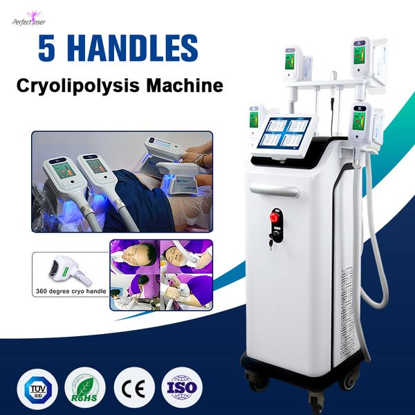 big power body slimming treatment machine cryolipolysis system 5 handles ce fda approved logo customization
big power body slimming treatment machine cryolipolysis system 5 handles ce fda approved logo customization