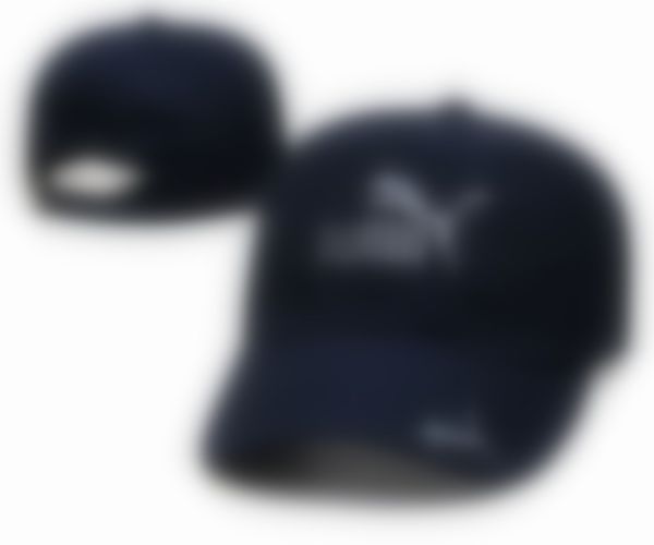 2023 ball caps with quality embroidery fashion truck hat man woman adjustable cap n11, Blue;gray
2023 ball caps with quality embroidery fashion truck hat man woman adjustable cap n11, Blue;gray