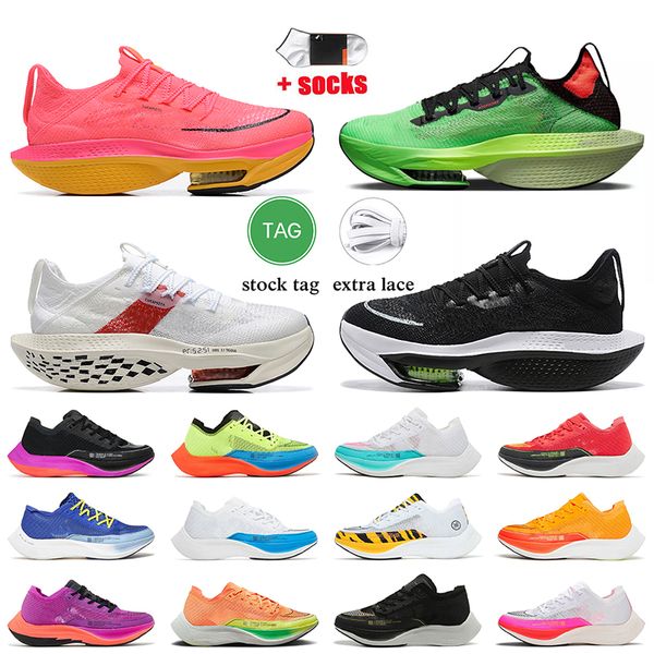 zooms alpha fly next% 2 running shoes 2023 zoomx vaporfly ekiden white red black hyper violet pink atomknit aurora green dhgate women men tr
zooms alpha fly next% 2 running shoes 2023 zoomx vaporfly ekiden white red black hyper violet pink atomknit aurora green dhgate women men tr