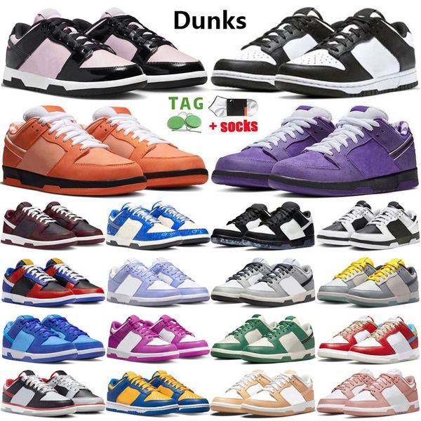 2023 dunks factory_footwear mens running shoes orange purple lobster pink foam black white smoke grey reverse unc men women sneakers
2023 dunks factory_footwear mens running shoes orange purple lobster pink foam black white smoke grey reverse unc men women sneakers