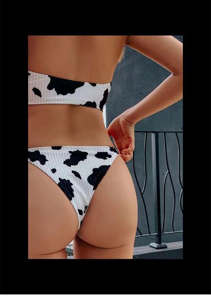 ins european and american style little cow bikini strap gathered deep v low waist threepoint separate womens swimsuit
ins european and american style little cow bikini strap gathered deep v low waist threepoint separate womens swimsuit