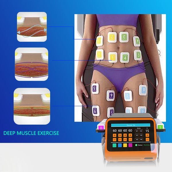 body sculpting ems machine trusculpt flex rf skin tightening machine body firming slimming ems machine
body sculpting ems machine trusculpt flex rf skin tightening machine body firming slimming ems machine