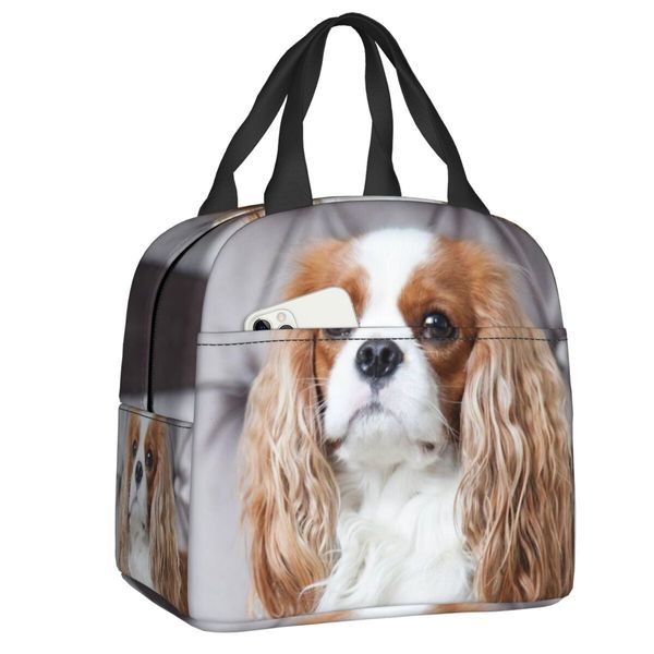 ice packsisothermic bags custom cavalier king charles spaniel lunch bag women cooler thermal insulated box for kids school children 230223
ice packsisothermic bags custom cavalier king charles spaniel lunch bag women cooler thermal insulated box for kids school children 230223