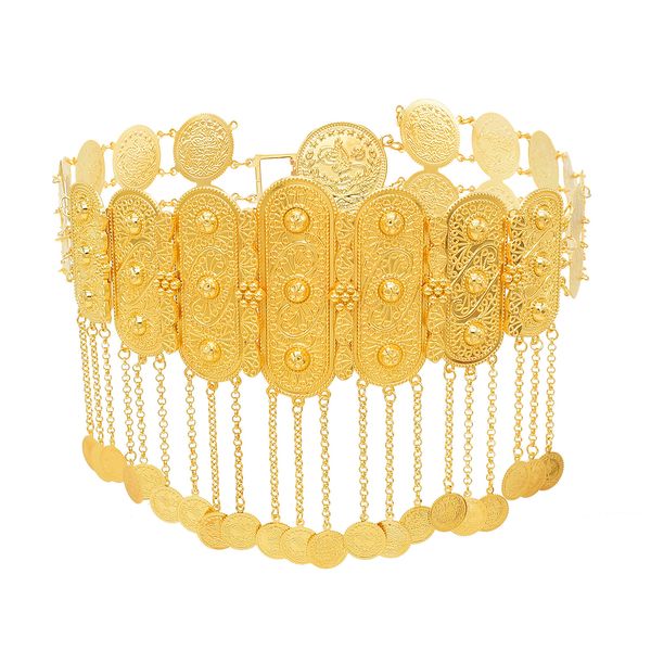waist chain belts turkish kurdistan wedding gold plated chains coin tassel robe dress novia ethnic bridal gift 230224
waist chain belts turkish kurdistan wedding gold plated chains coin tassel robe dress novia ethnic bridal gift 230224