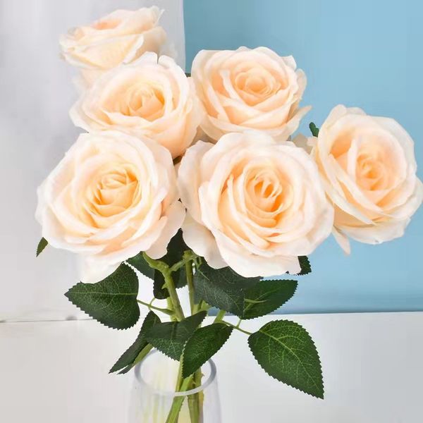 wholesale of single simulated rose by the manufacturer, wedding celebration, living room, bedroom decoration, bride holding artificial flowe
wholesale of single simulated rose by the manufacturer, wedding celebration, living room, bedroom decoration, bride holding artificial flowe