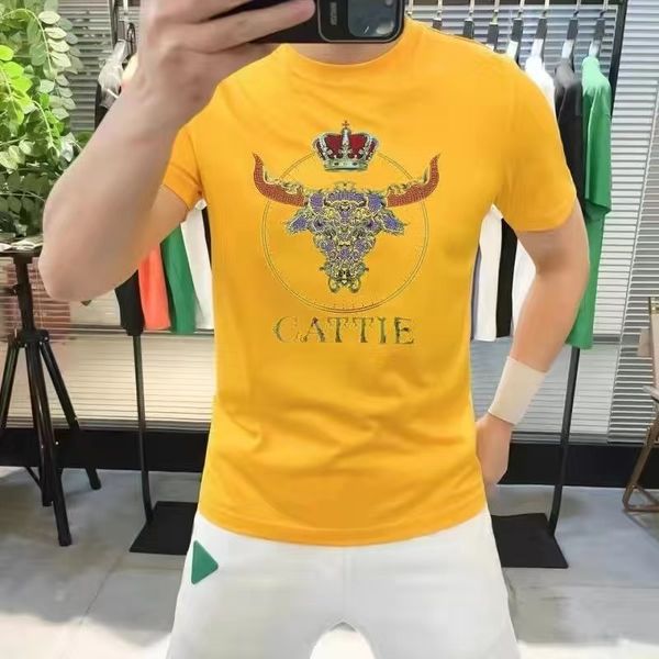summer mens coach short sleeve shirts & drill rhinestone t shirt crew neck pullover hip hop slim fit tee mercerized cotton, White;black
summer mens coach short sleeve shirts & drill rhinestone t shirt crew neck pullover hip hop slim fit tee mercerized cotton, White;black