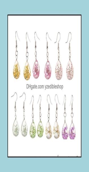 dangle chandelier earrings jewelry real dried flower fashion womens waterdrop glass statement sier plated drop delivery 2021 c7m4209757, Silver
dangle chandelier earrings jewelry real dried flower fashion womens waterdrop glass statement sier plated drop delivery 2021 c7m4209757, Silver