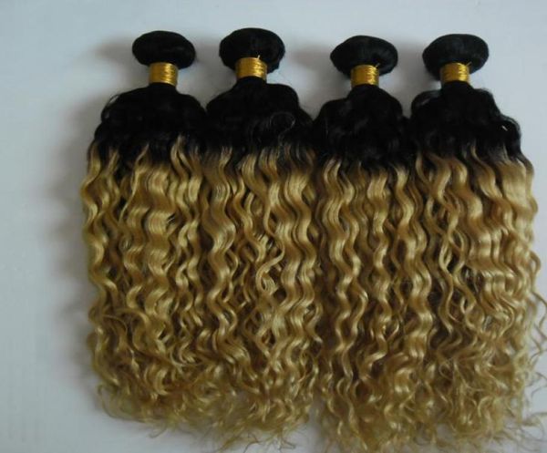 4pcs blonde brazilian kinky curly ombre hair 100 human hair bundles t1b613 brazilian hair weave bundles non remy extension doubl4615539, Black
4pcs blonde brazilian kinky curly ombre hair 100 human hair bundles t1b613 brazilian hair weave bundles non remy extension doubl4615539, Black