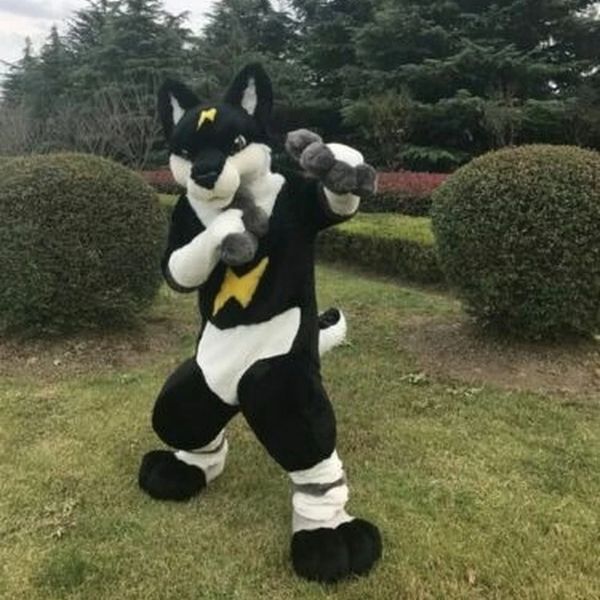 black fox dog mascot costume suits party game dress outfits clothing halloween suit birthday dress cartoon fancy dress christmas characteris, Red;yellow
black fox dog mascot costume suits party game dress outfits clothing halloween suit birthday dress cartoon fancy dress christmas characteris, Red;yellow
