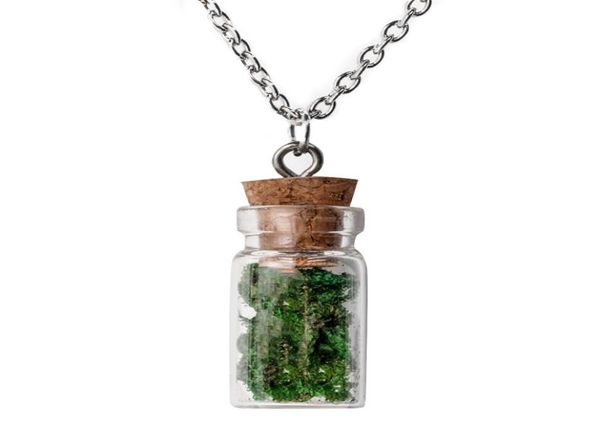 european and american jewelry handmade creative seaweed bottle necklace vintage glass bottle clavicle chain pendant 4024511, Silver 
european and american jewelry handmade creative seaweed bottle necklace vintage glass bottle clavicle chain pendant 4024511, Silver
