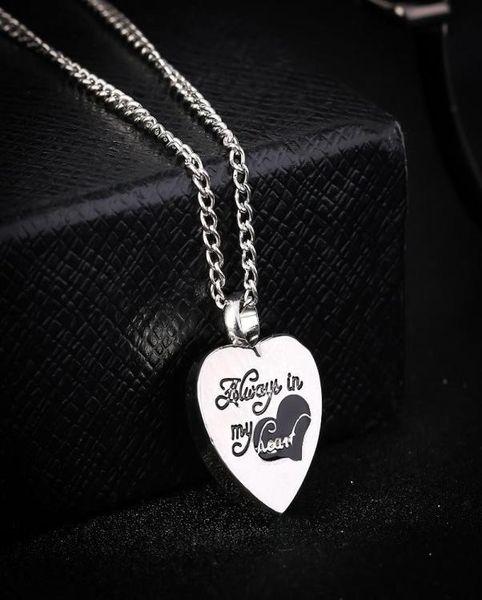 2 color urn pendant quotalways in my heartquot heart premium stainless steel necklace for cremation ashes urn chain necklace f8157094, Silver
2 color urn pendant quotalways in my heartquot heart premium stainless steel necklace for cremation ashes urn chain necklace f8157094, Silver