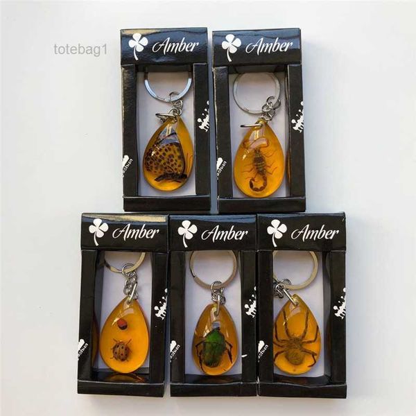 accessories designer keychain insect specimen amber fashion car gift pendant jewelry wholesale 1 box of 12 pieces bf1s, Silver
accessories designer keychain insect specimen amber fashion car gift pendant jewelry wholesale 1 box of 12 pieces bf1s, Silver