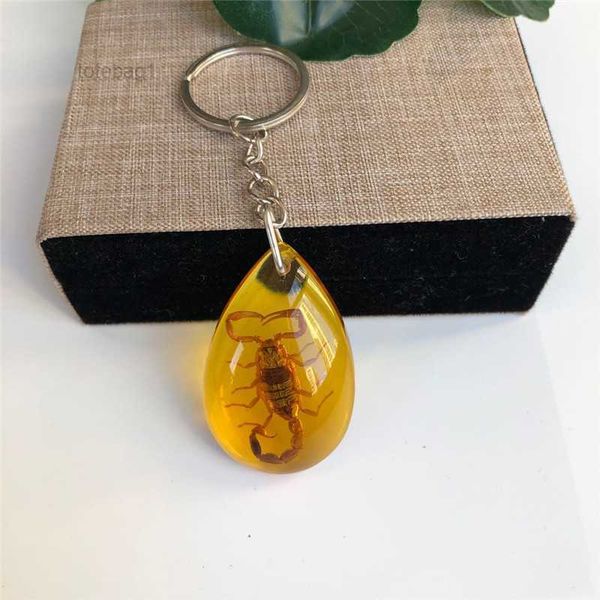 accessories designer keychain insect specimen amber fashion car gift pendant jewelry wholesale 1 box of 12 pieces 2 5jwd, Silver
accessories designer keychain insect specimen amber fashion car gift pendant jewelry wholesale 1 box of 12 pieces 2 5jwd, Silver