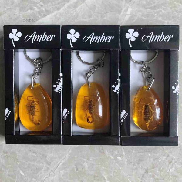 accessories designer keychain insect specimen amber fashion car gift pendant jewelry wholesale 1 box of 12 pieces 9 0r0c, Silver
accessories designer keychain insect specimen amber fashion car gift pendant jewelry wholesale 1 box of 12 pieces 9 0r0c, Silver