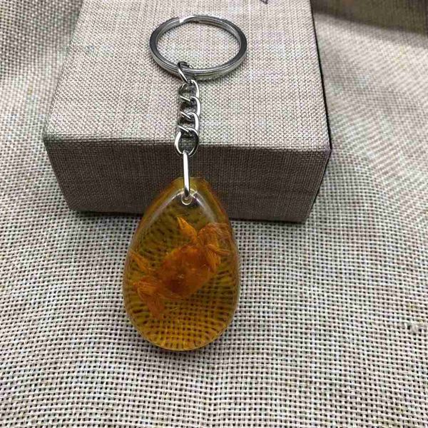 accessories designer keychain insect specimen amber fashion car gift pendant jewelry wholesale 1 box of 12 pieces 4 y1ek, Silver
accessories designer keychain insect specimen amber fashion car gift pendant jewelry wholesale 1 box of 12 pieces 4 y1ek, Silver
