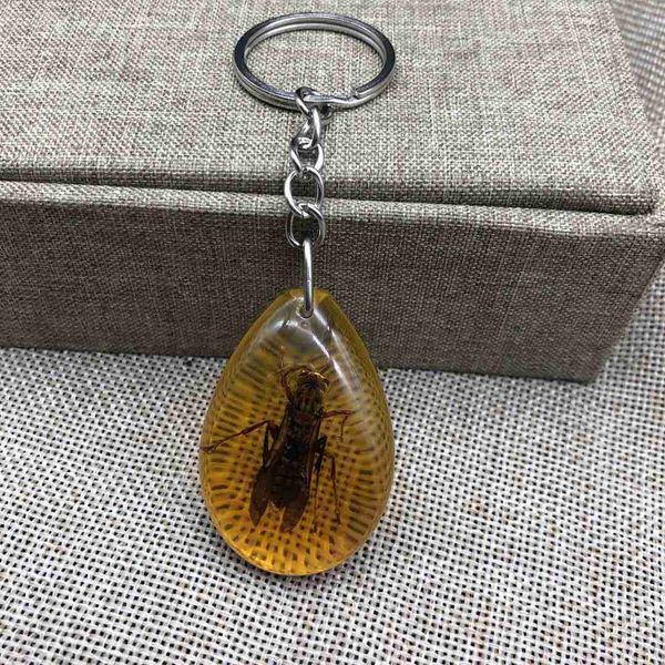 accessories designer keychain insect specimen amber fashion car gift pendant jewelry wholesale 1 box of 12 pieces 5 dz8c, Silver
accessories designer keychain insect specimen amber fashion car gift pendant jewelry wholesale 1 box of 12 pieces 5 dz8c, Silver