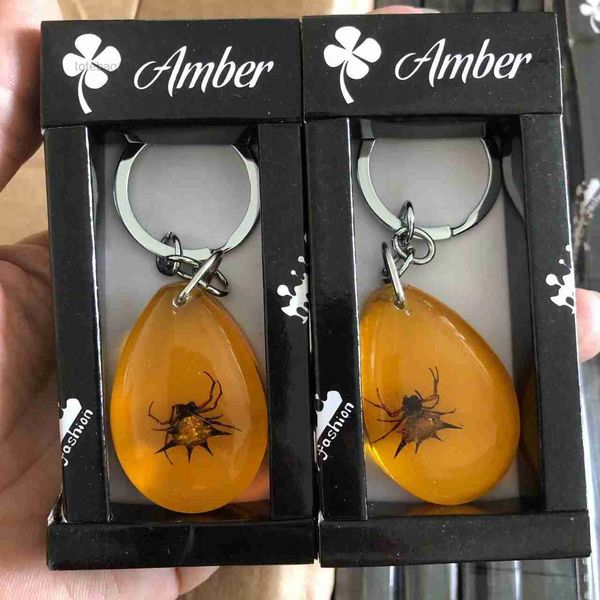 accessories designer keychain insect specimen amber fashion car gift pendant jewelry wholesale 1 box of 12 pieces 6 kohr, Silver
accessories designer keychain insect specimen amber fashion car gift pendant jewelry wholesale 1 box of 12 pieces 6 kohr, Silver