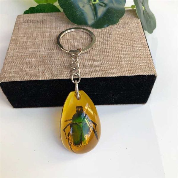 accessories designer keychain insect specimen amber fashion car gift pendant jewelry wholesale 1 box of 12 pieces 7 znpi, Silver
accessories designer keychain insect specimen amber fashion car gift pendant jewelry wholesale 1 box of 12 pieces 7 znpi, Silver