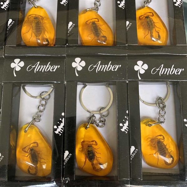 accessories designer keychain insect specimen amber fashion car gift pendant jewelry wholesale 1 box of 12 pieces 8 sg4j, Silver
accessories designer keychain insect specimen amber fashion car gift pendant jewelry wholesale 1 box of 12 pieces 8 sg4j, Silver