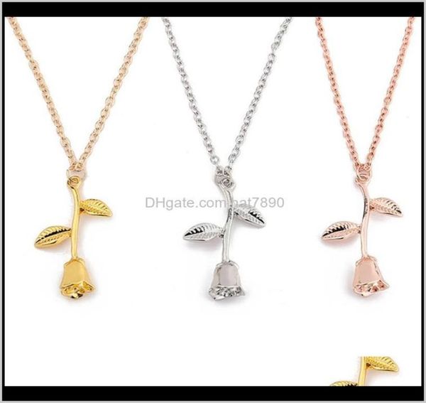 jewelrydelicate flower charm pendants 3 colors rose pendant necklaces zinc alloy jewelry valentines day gifts drop delivery 20216388782, Silver
jewelrydelicate flower charm pendants 3 colors rose pendant necklaces zinc alloy jewelry valentines day gifts drop delivery 20216388782, Silver