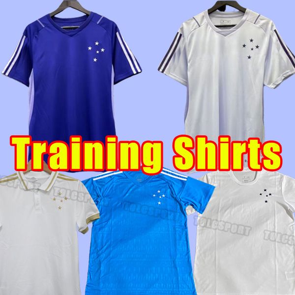 23 23 cruzeiro ec soccer jerseys r.sobis airton m.moreno pottker 2023 2024 football shirt training shirts, Black;yellow
23 23 cruzeiro ec soccer jerseys r.sobis airton m.moreno pottker 2023 2024 football shirt training shirts, Black;yellow