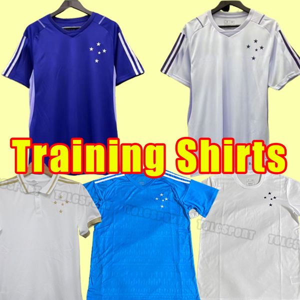 2023 2024 camisa cruzeiro soccer jerseys 100th anniversary football shirts 23/24 pottker dede r.sobis camiseta de raposas men football shirt, Black;yellow
2023 2024 camisa cruzeiro soccer jerseys 100th anniversary football shirts 23/24 pottker dede r.sobis camiseta de raposas men football shirt, Black;yellow