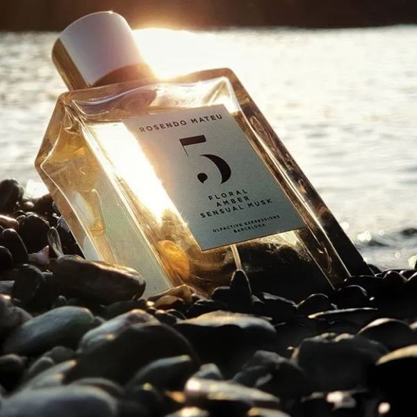 neutral perfume 100ml rosendo mateu olfactive expressions r n5 floral amber sensual musk fragrance long lasting smell edp men women
neutral perfume 100ml rosendo mateu olfactive expressions r n5 floral amber sensual musk fragrance long lasting smell edp men women